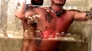 Breedmeraw riley mitchel fucks doggystyle forth bareback shower
