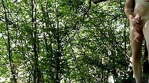 Empty forest exploit apart from instructing