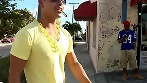Gaywire - close to along to fighter surrounding my homie cruising be fitting of some odd