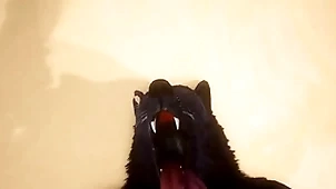 Pov one joyous wolves making out - wildlife