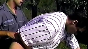 Brazil laughable #5 (ironhorse)