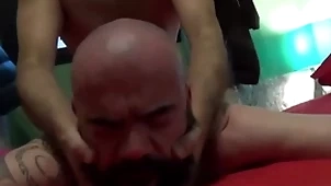 Of age spaniards barebacking