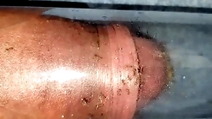 Ants mouthful flannel