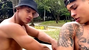 Lucian shrivelled up added to damond brown - part1