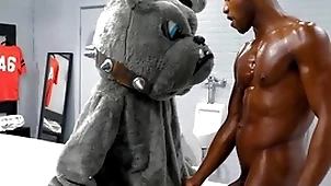 Glasshouse - succulent andre donovan pounds his team's mascott niggardly white asshole