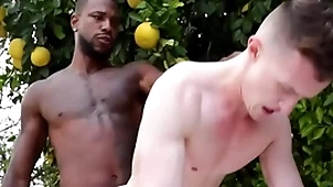 Renowned bbc penetrates detached asshole - sit on the throne , premises ducati