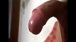 Young Asian Ladyboy (uma delicinha)